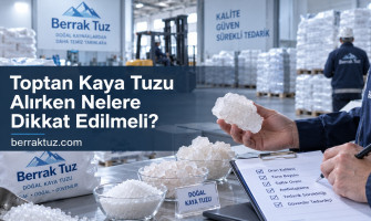 Toptan Kaya Tuzu Alırken Nelere Dikkat Edilmeli?